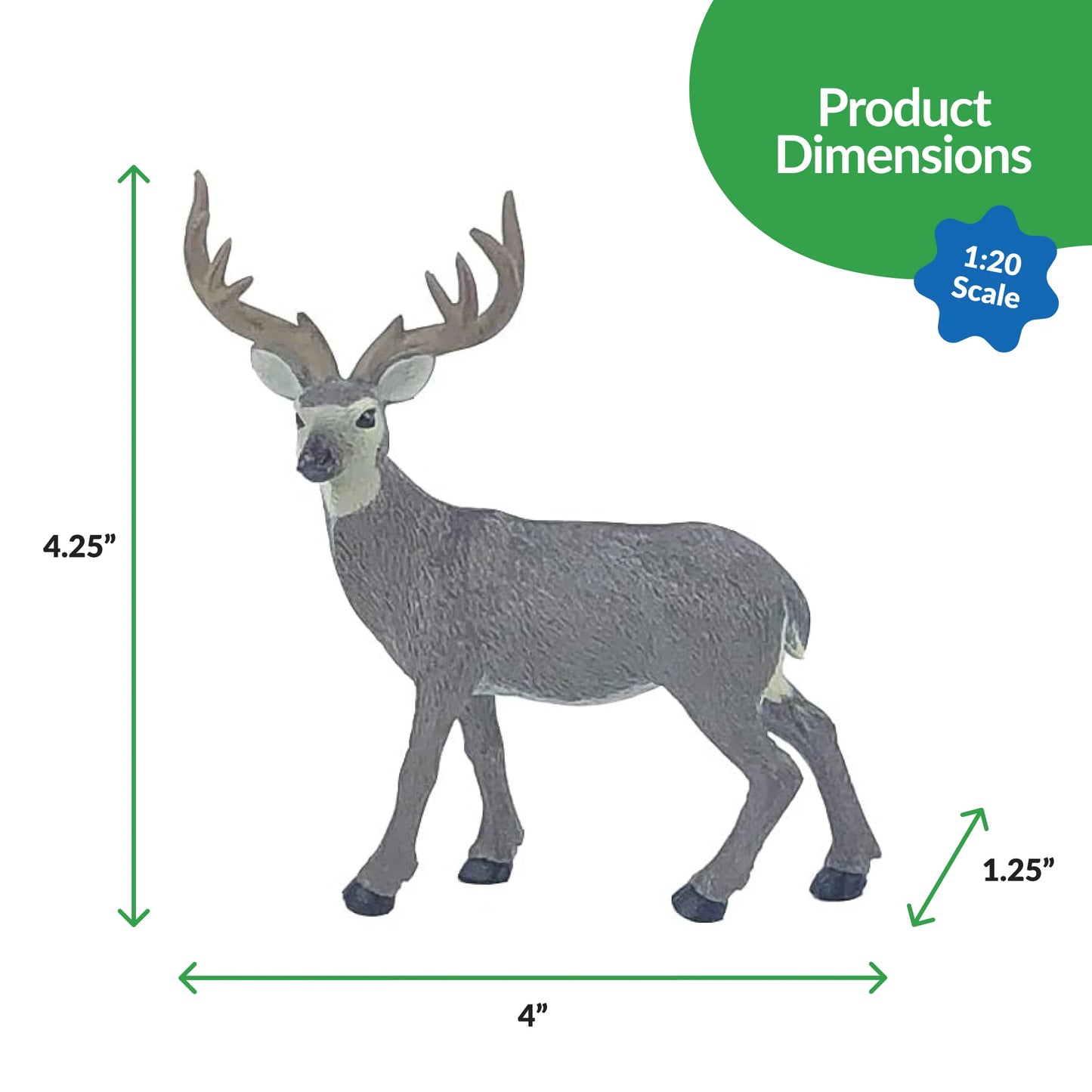 Big Country Mule Deer
