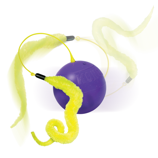 Kong Purrsuit Whirlwind