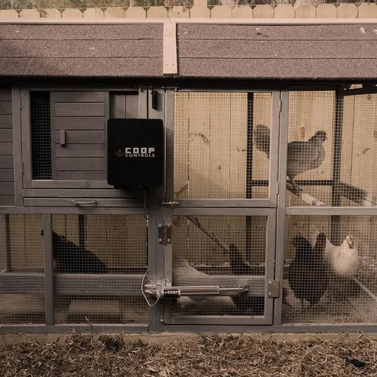 Ghost Controls Automatic Chicken Coop Door Opener