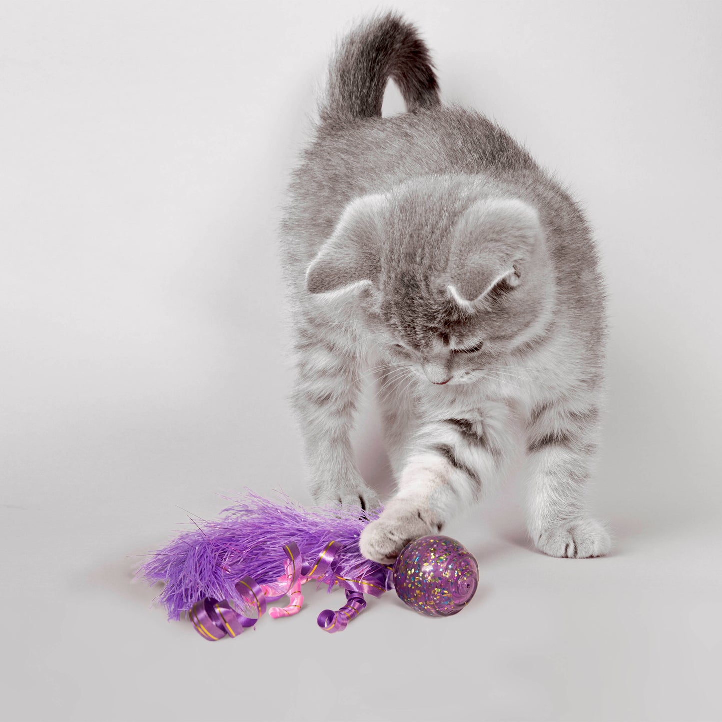 Kong Cat Confetti Ball