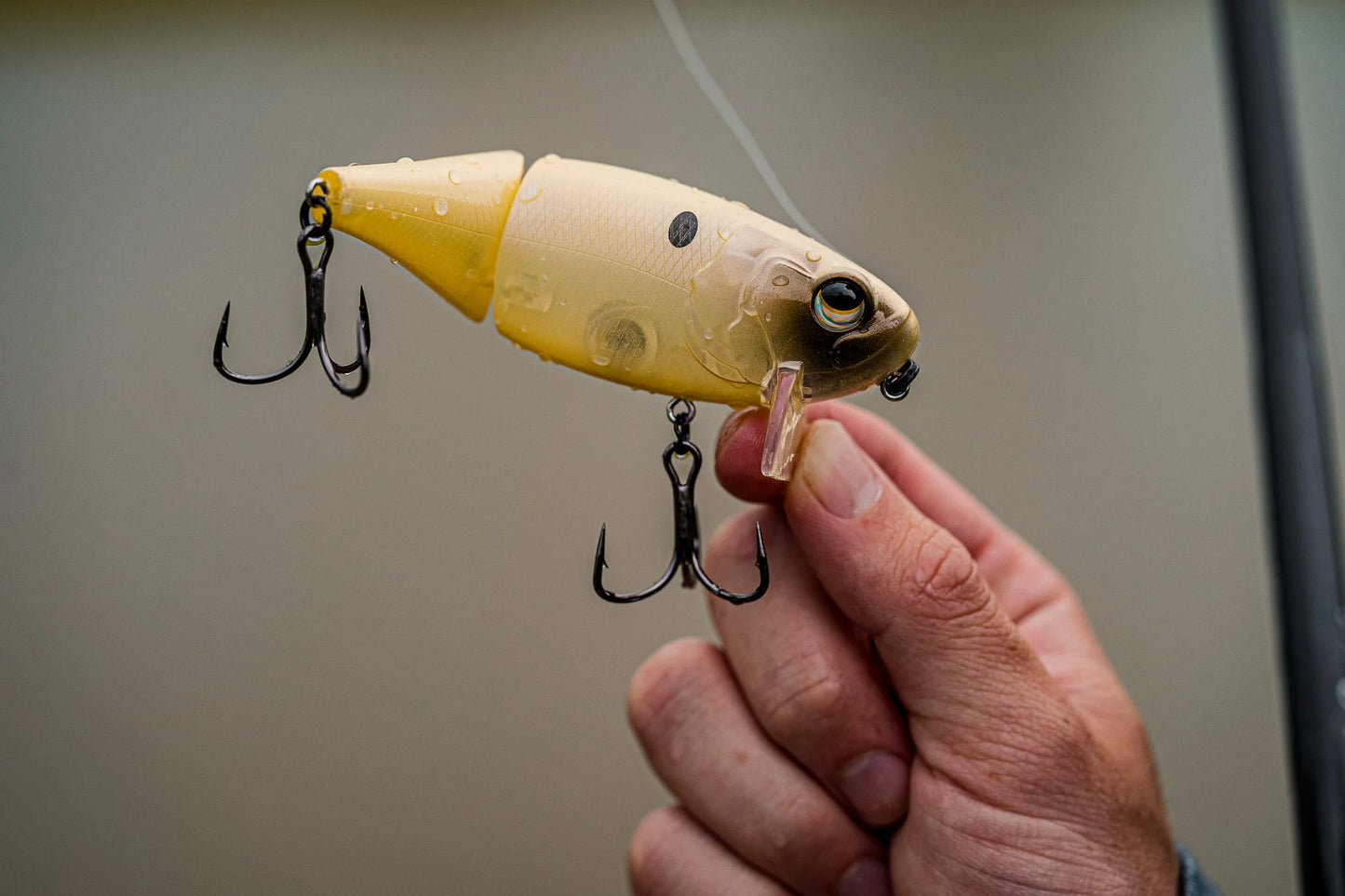 Speed Wake - Spanish Bone