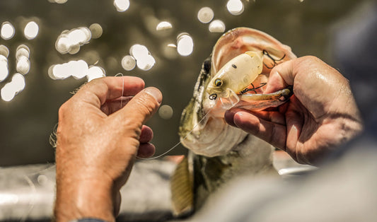 Speed Wake - Spanish Bone