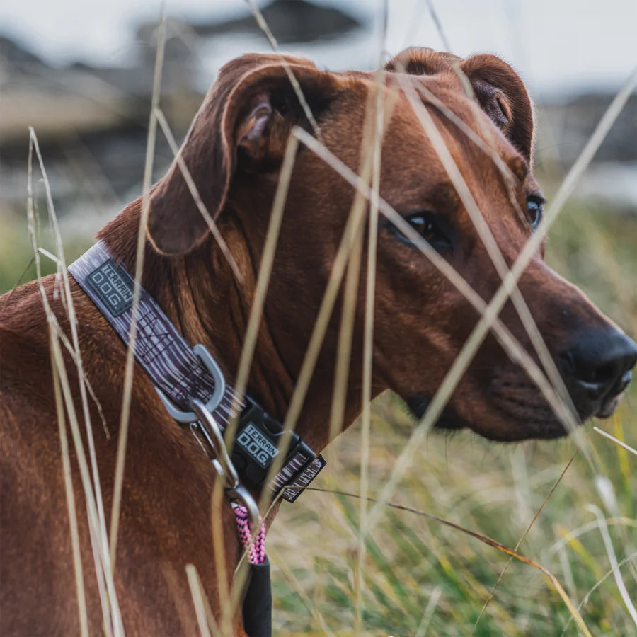 Terrain Dog Premium Patterned Snap-N-Go Adjustable Dog Collar