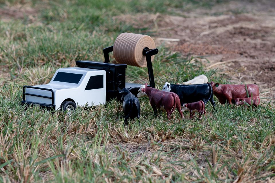 Little Buster Toys Cake Feeder Black