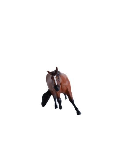 Little Buster Bay Gelding Barrel Horse