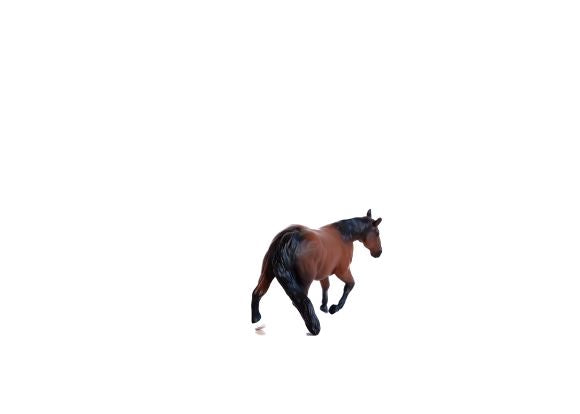 Little Buster Bay Gelding Barrel Horse