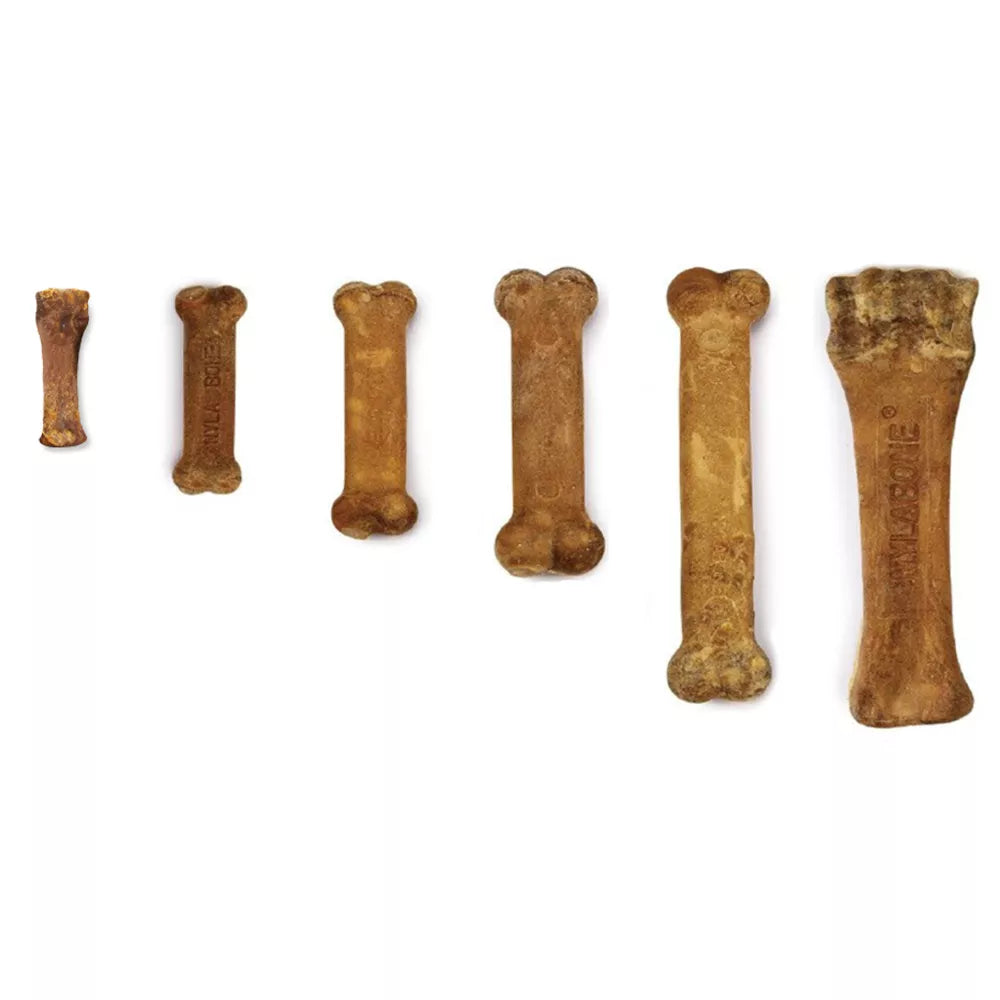 Nylabone Healthy Edibles Dog Chew- Bacon Flavor