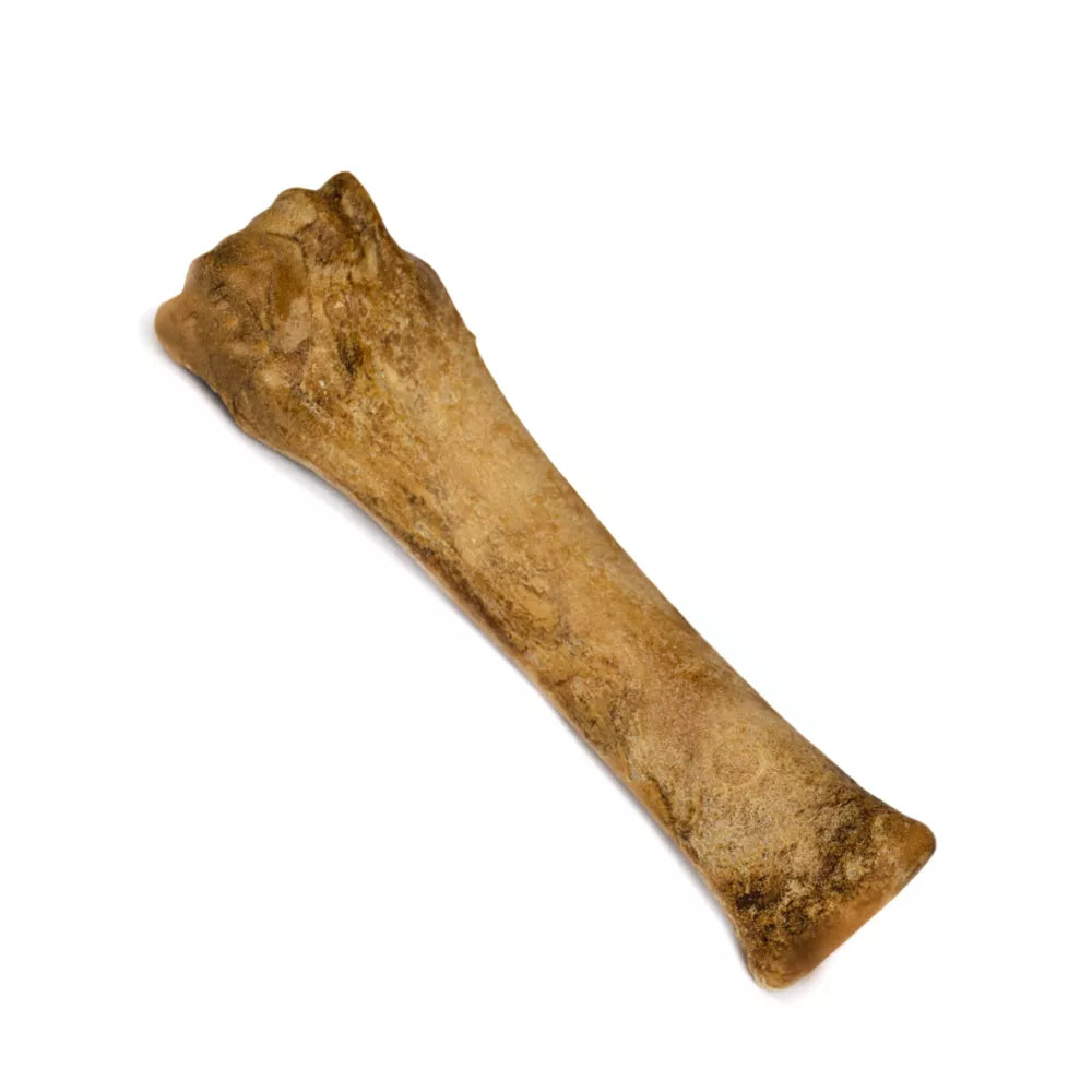 Nylabone Healthy Edibles Dog Chew- Bacon Flavor