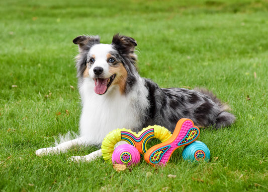 Multipet Grooverz Ball