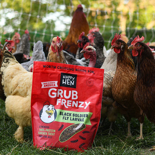 Happy Hen Treats Grub Frenzy Black Soldier Fly Larvae