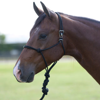 Professional's Choice Easy On Rope Halter with 10' Lead