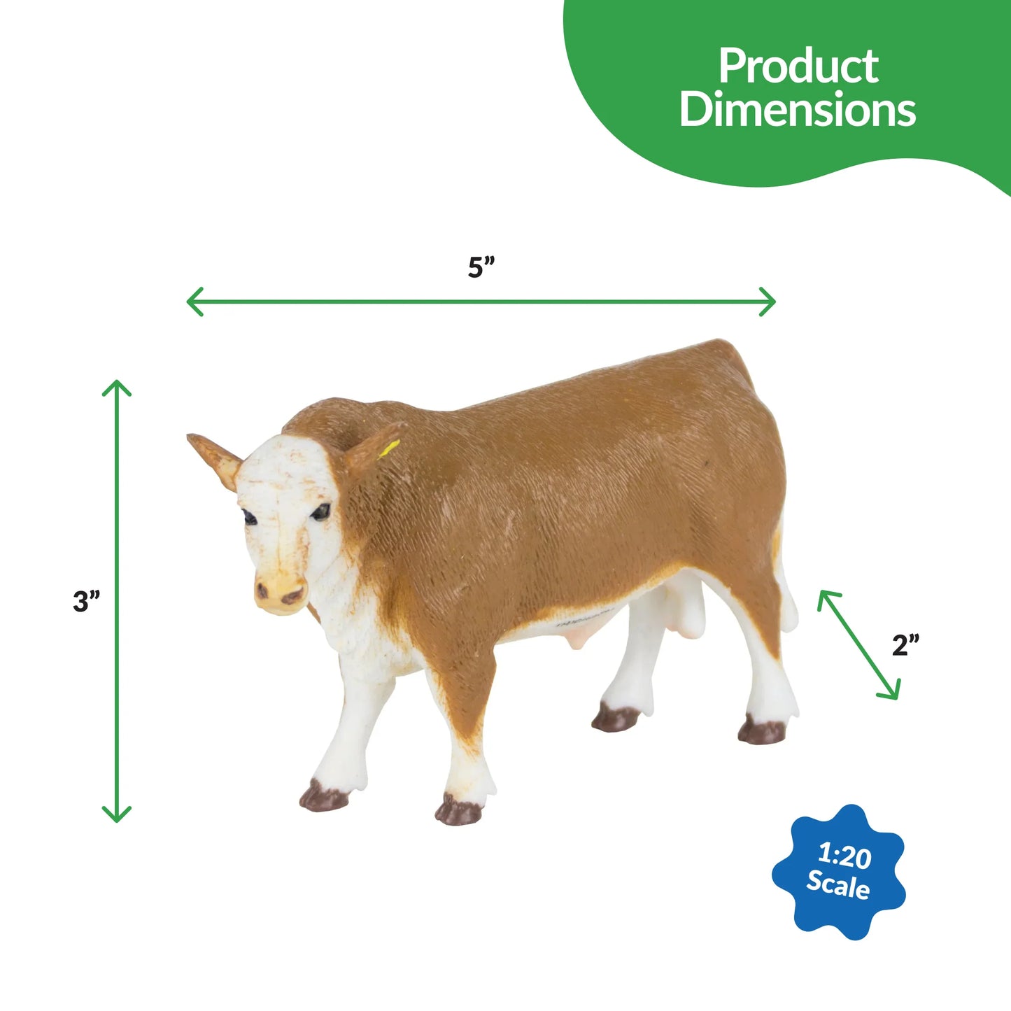 Big Country Hereford Bull