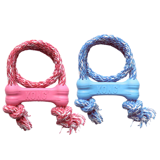 Kong Puppy Goodie Bone with Rope