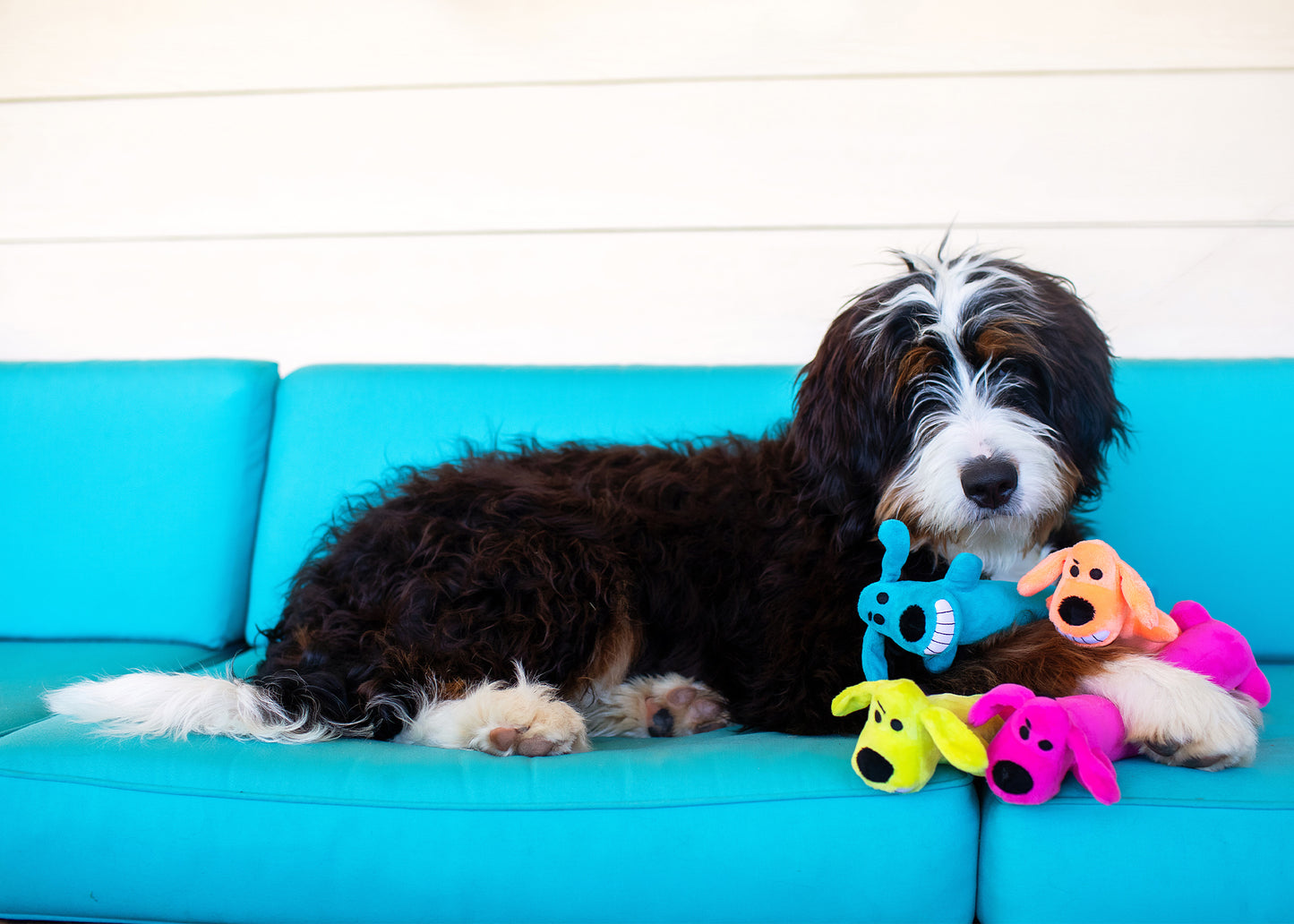 Multipet The Original Loofah Dog