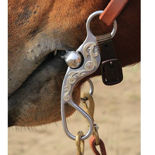 Professional's Choice Bob Avila Santa Rosa Shank - Chain