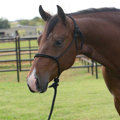 Professional's Choice Equisential Rope Halter