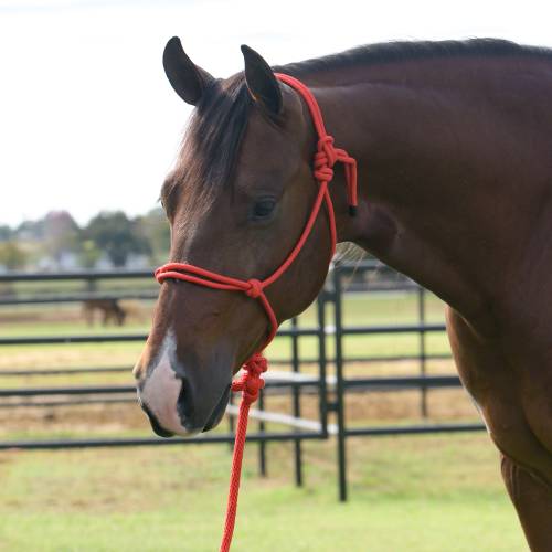 Professional's Choice Equisential Rope Halter
