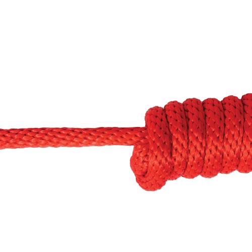 Professional's Choice Equisential Rope Halter