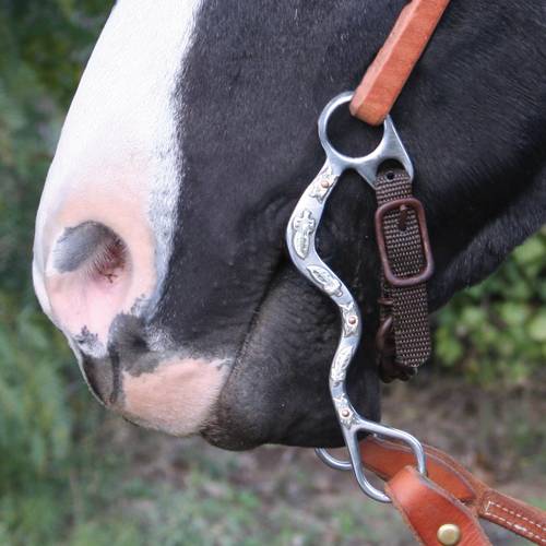 Professional's Choice Bob Avila Leaf Shank with Medium Port and Copper Bars Bit