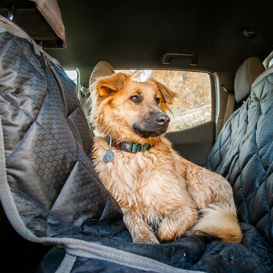 Terrain Dog Car Seat Cover