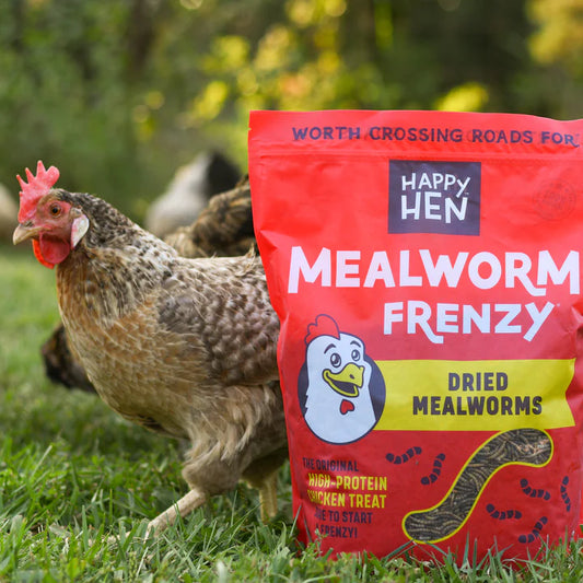 Happy Hen Mealworm Frenzy