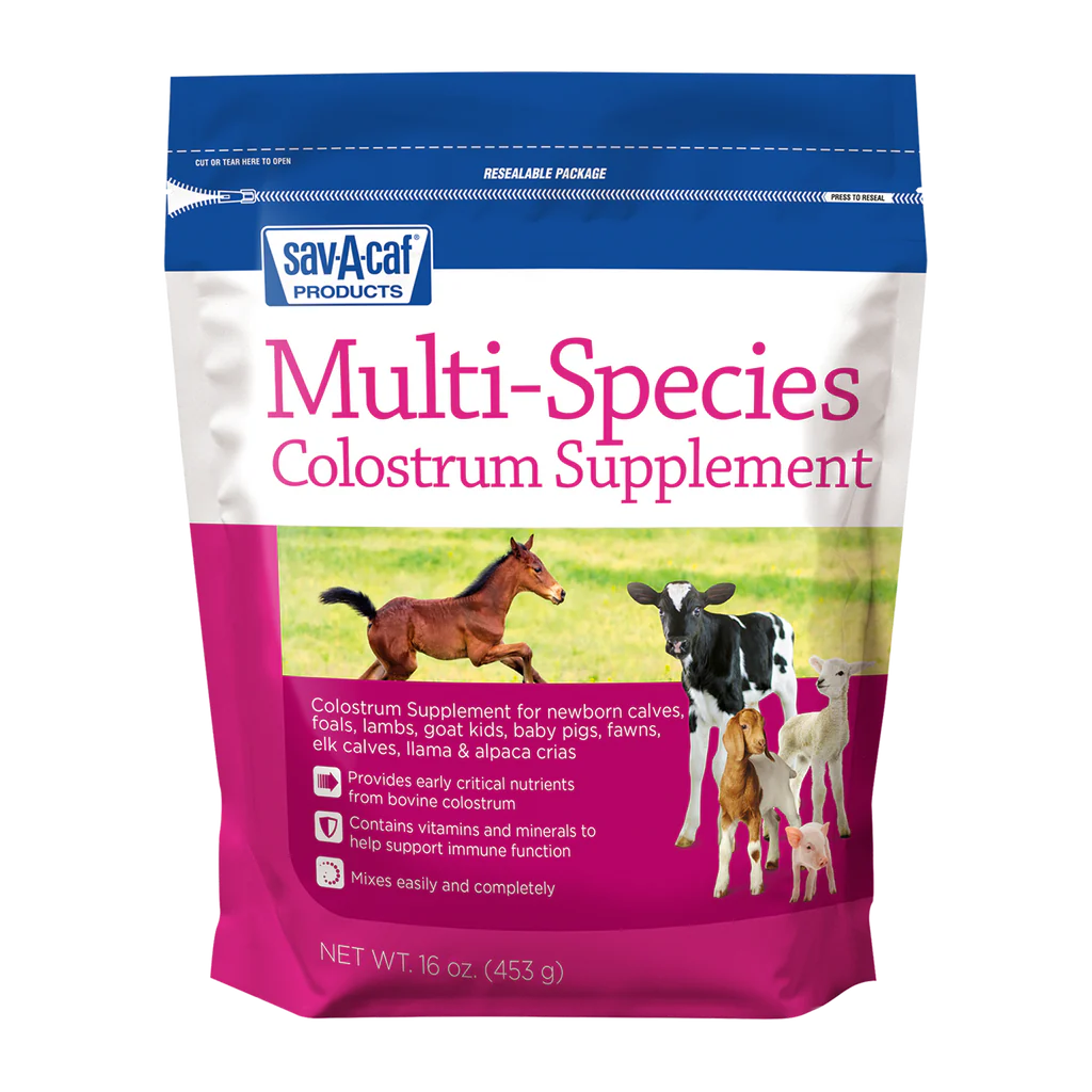 Sav-A-Caf Multi-Species Colostrum Supplement