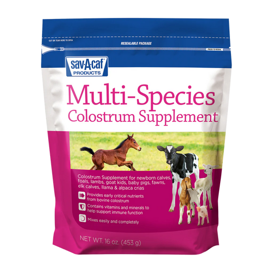 Sav-A-Caf Multi-Species Colostrum Supplement