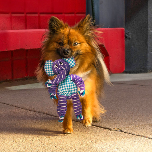 Kong Floppy Knots Elephant