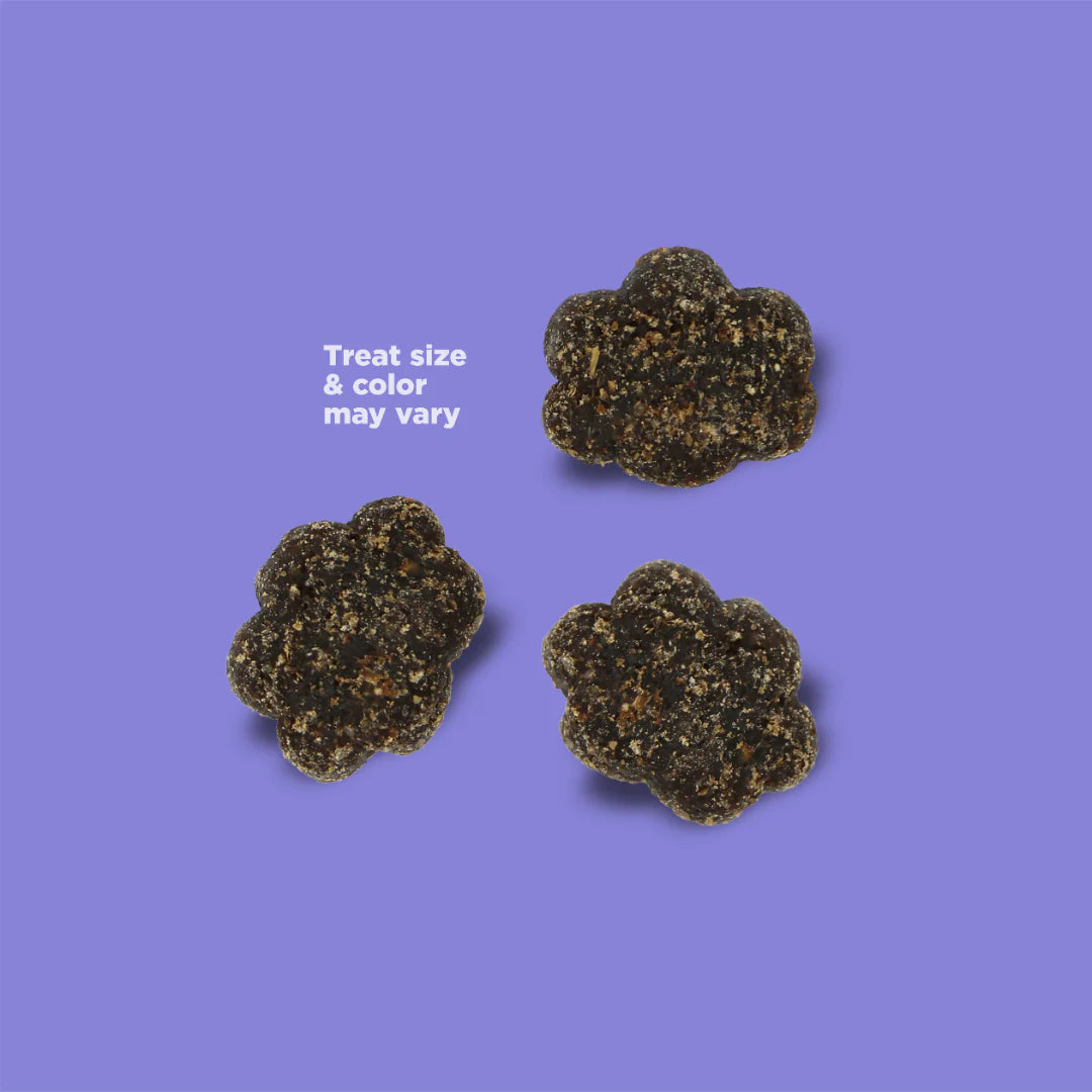 Nutrisource Peanut Butter & Banana Nutty Butter Bites