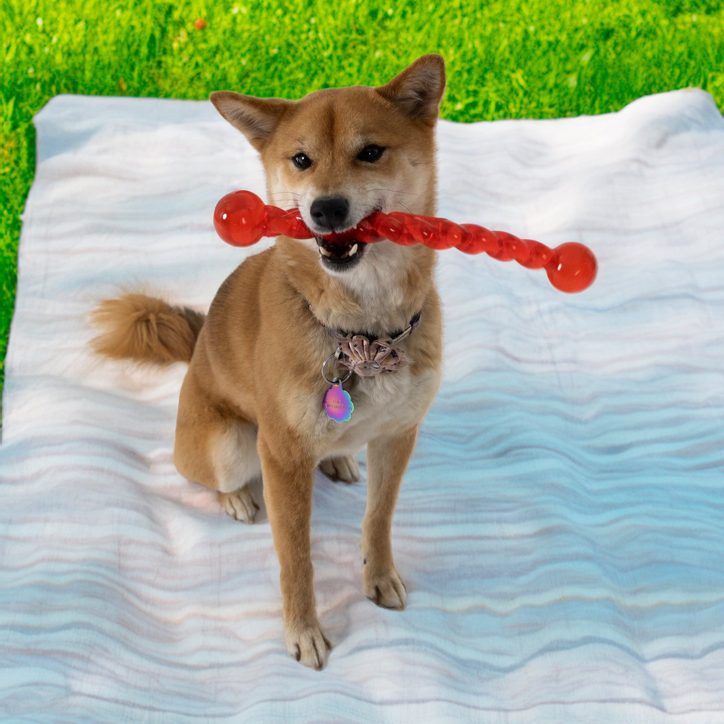 Kong SafeStix Dog Toy - Small