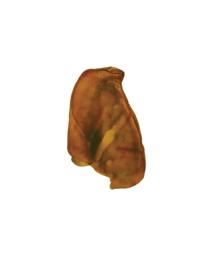 Jones Natural Chews Jumbo Pig Ear