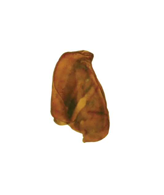 Jones Natural Chews Jumbo Pig Ear
