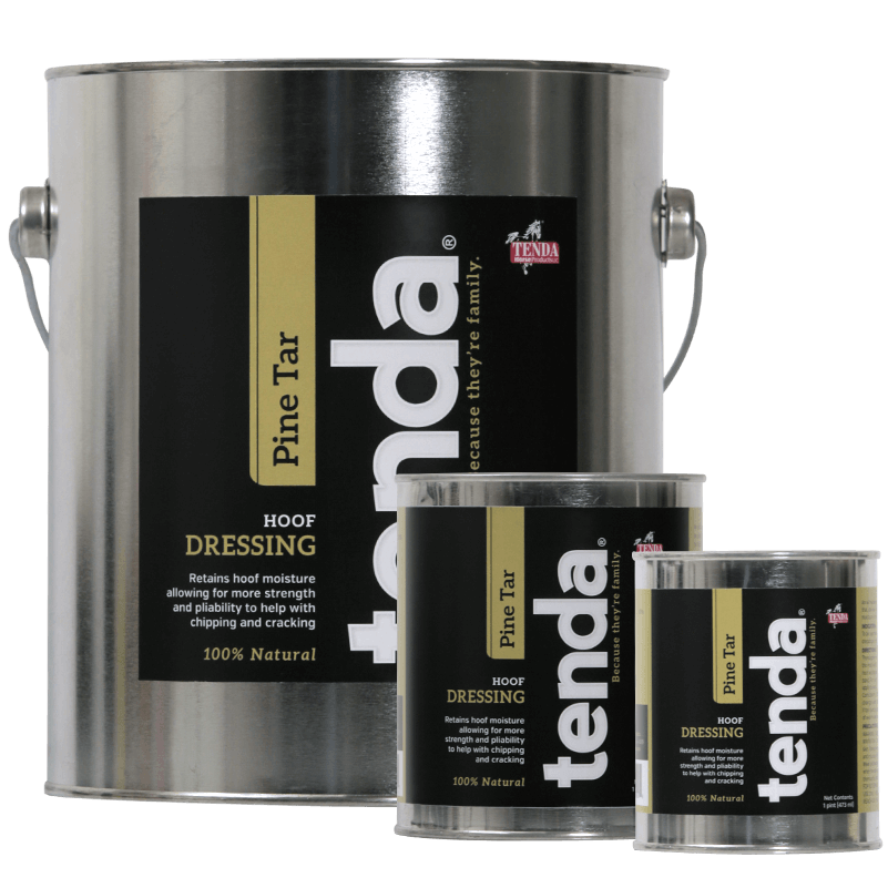 Tenda Pine Tar
