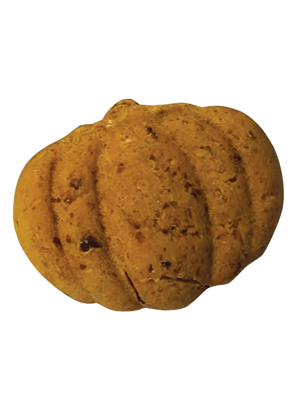 Emerald Pet Pumpkin Harvest Oven Baked Dog Treats- Pumpkin with Apple