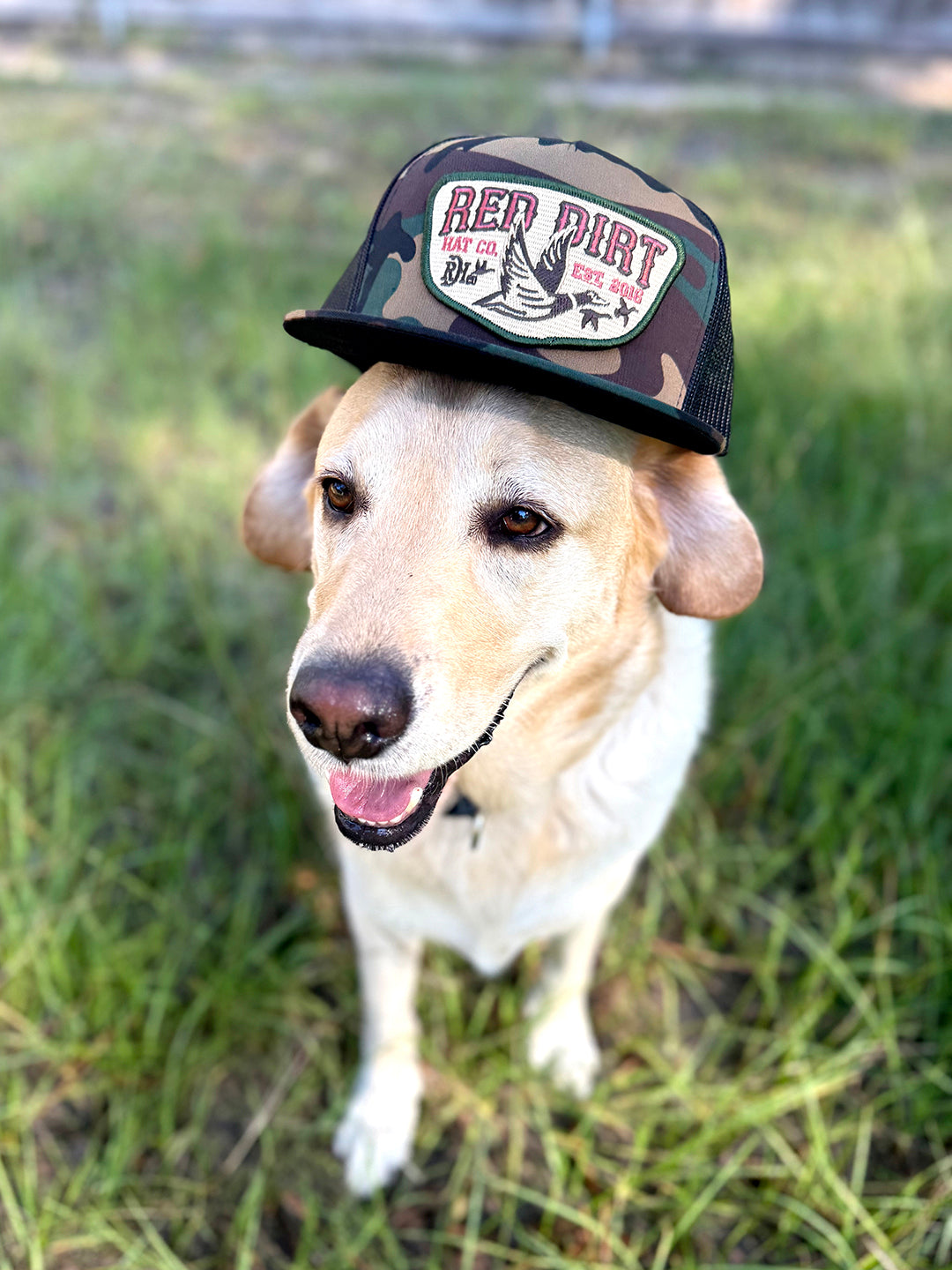 Red Dirt Hat Co. Fly South Cap in Camo