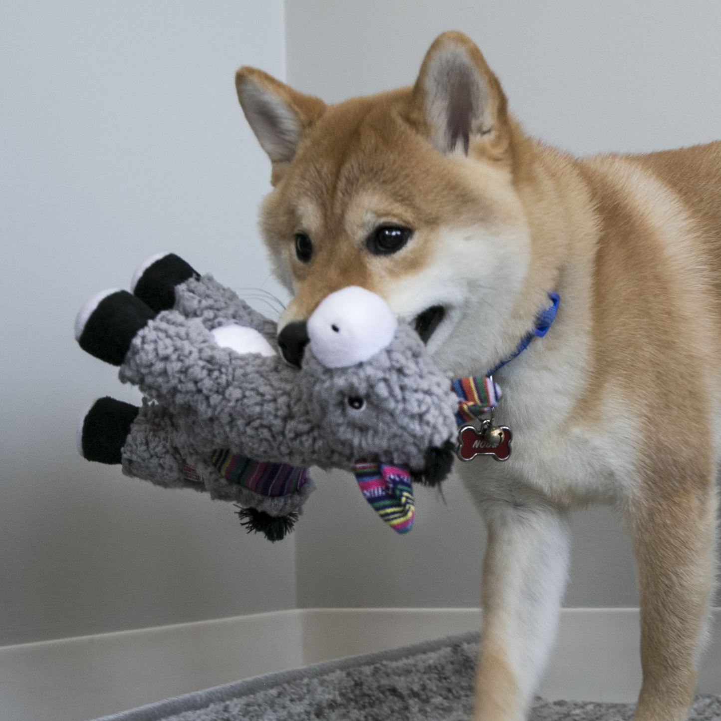 Kong Sherps Donkey