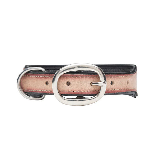 Cow Dog Trail Hand-Tooled Dog Collar