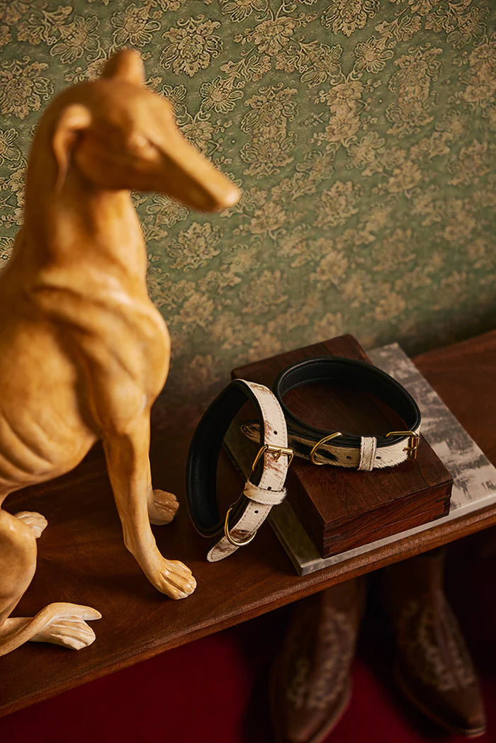 Myra Prairie Paws Studded Hairon Dog Collar in Brown & White