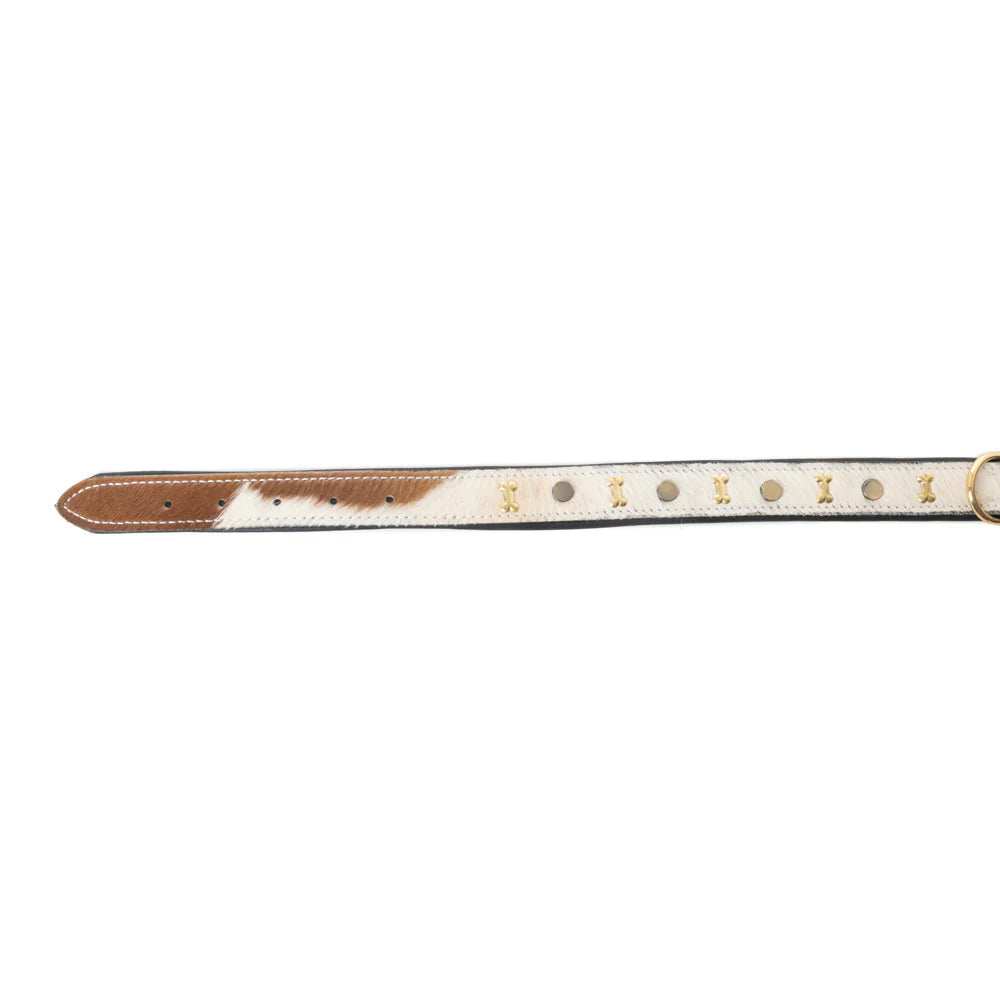 Myra Prairie Paws Studded Hairon Dog Collar in Brown & White