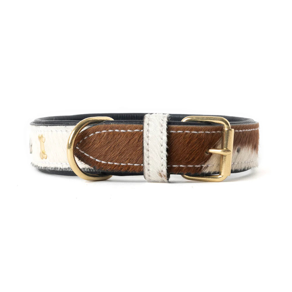 Myra Prairie Paws Studded Hairon Dog Collar in Brown & White