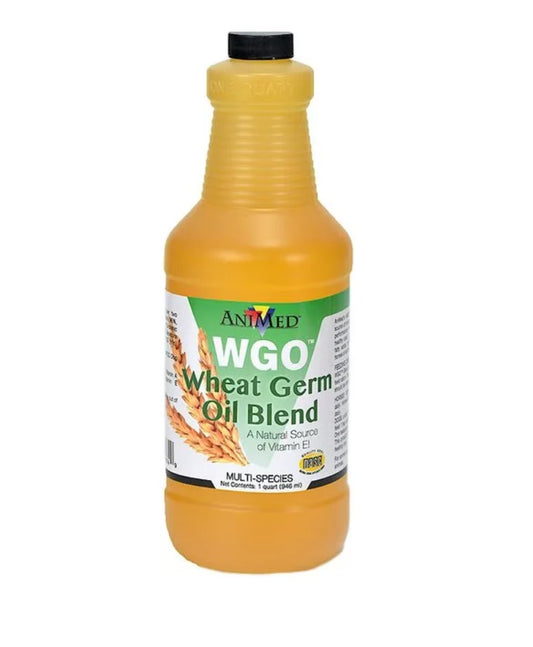 Animed Wheat Germ Oil