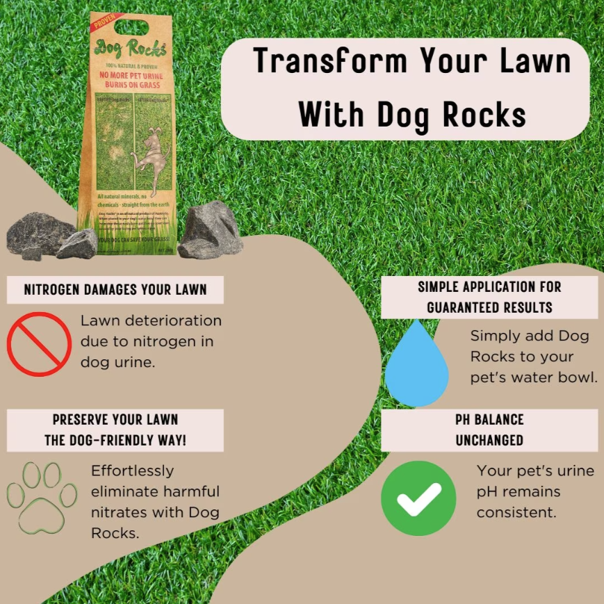 Dog Rocks Grass & Lawn Saver