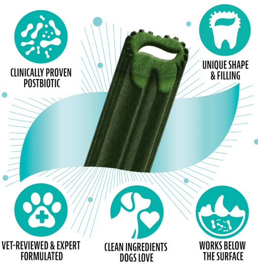 Dinovite Dental Chews
