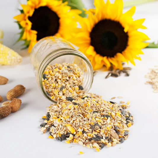 Happy Hen Party Mix Seed and Mealworm Blend