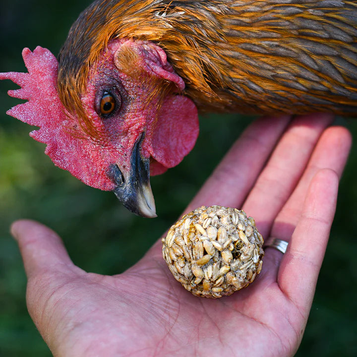 Happy Hen Treat Tumblers