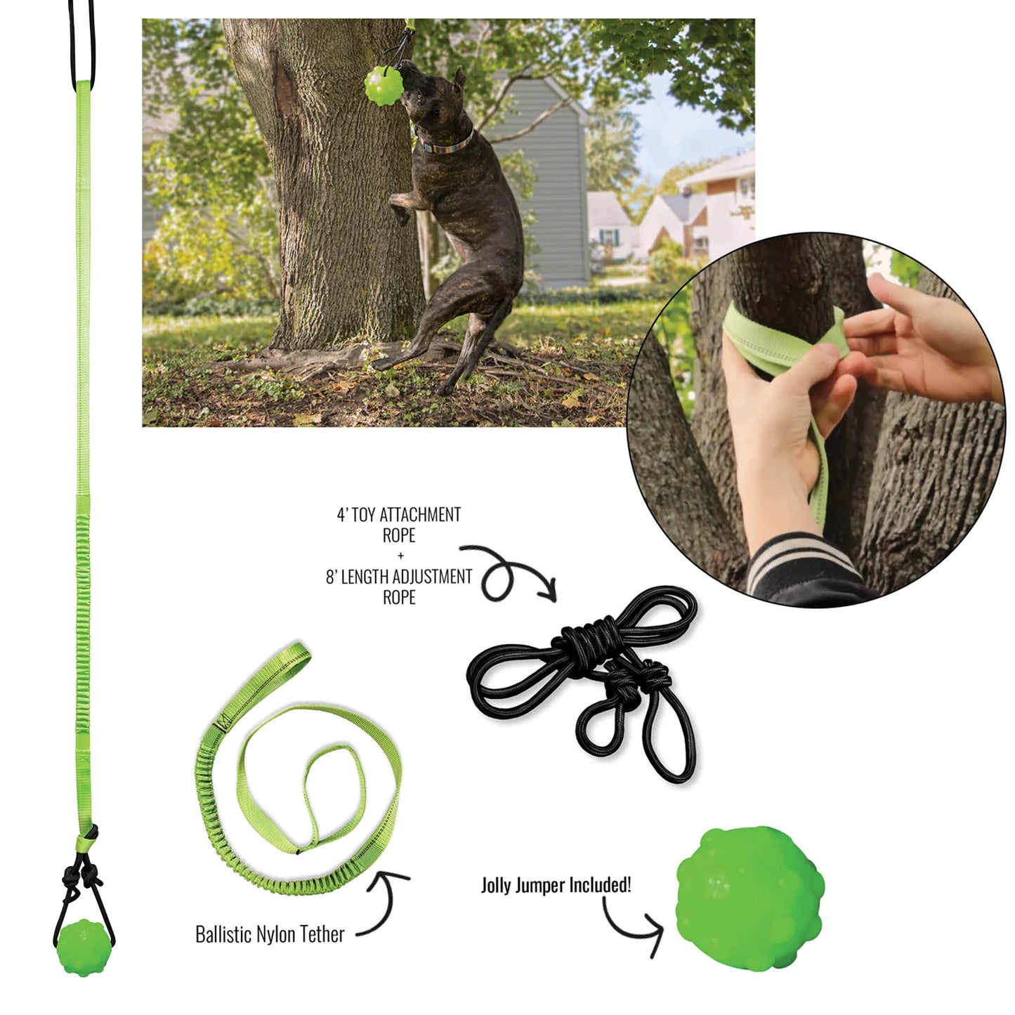 Jolly Pets Tree Tugger