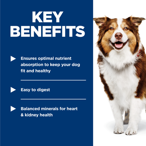 Hill's Science Diet Adult 7+ Savory Stew with Beef and Vegetables Dog Food