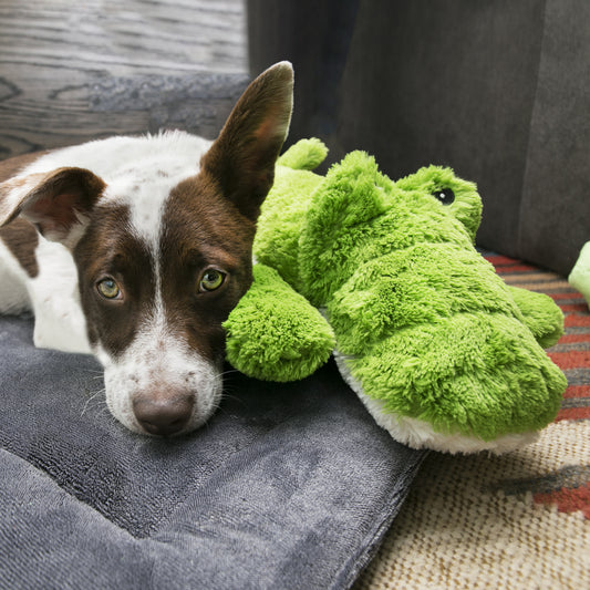 Kong Cozie Ali Alligator - X-Large