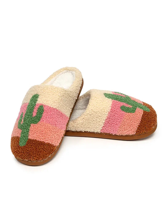 Cactus in a Desert Slippers