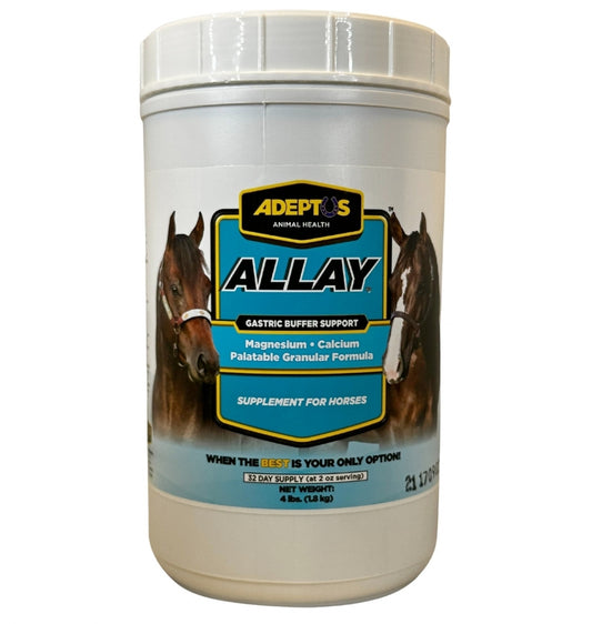 Adeptus Allay Gastric Buffer Support